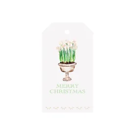 Paperwhite Planter Luggage Gift Tags