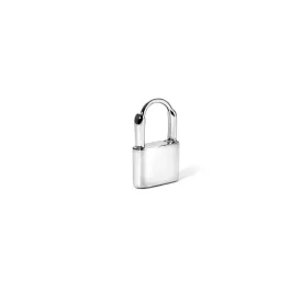 Polished Lock Earring